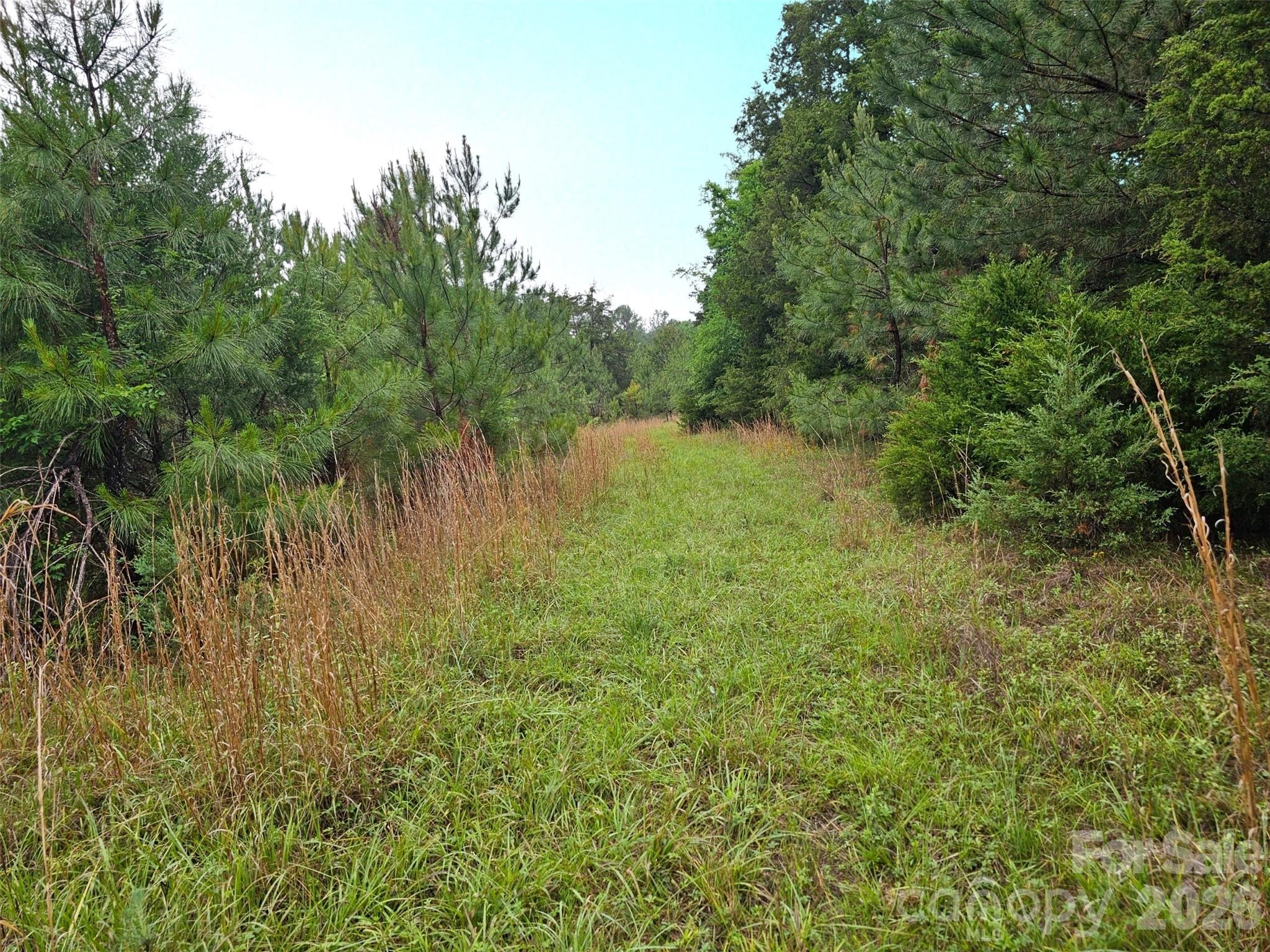0 Shirley Road Fort Lawn, SC 29714 - Photo 3 of 6