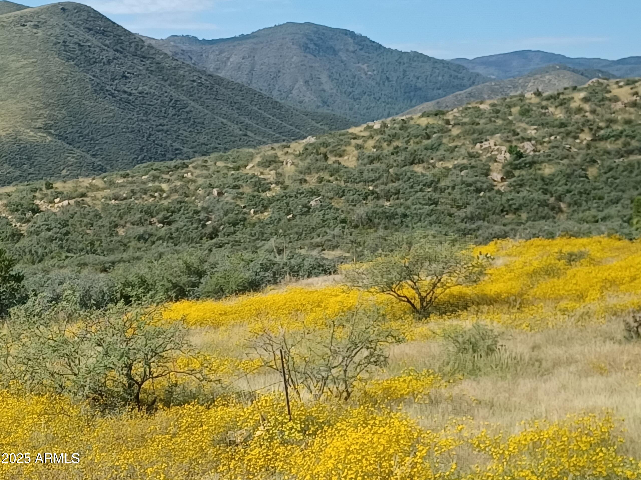 5668 Miners Pick Road Mayer, AZ 86333 - Photo 6 of 39 JTDR9033