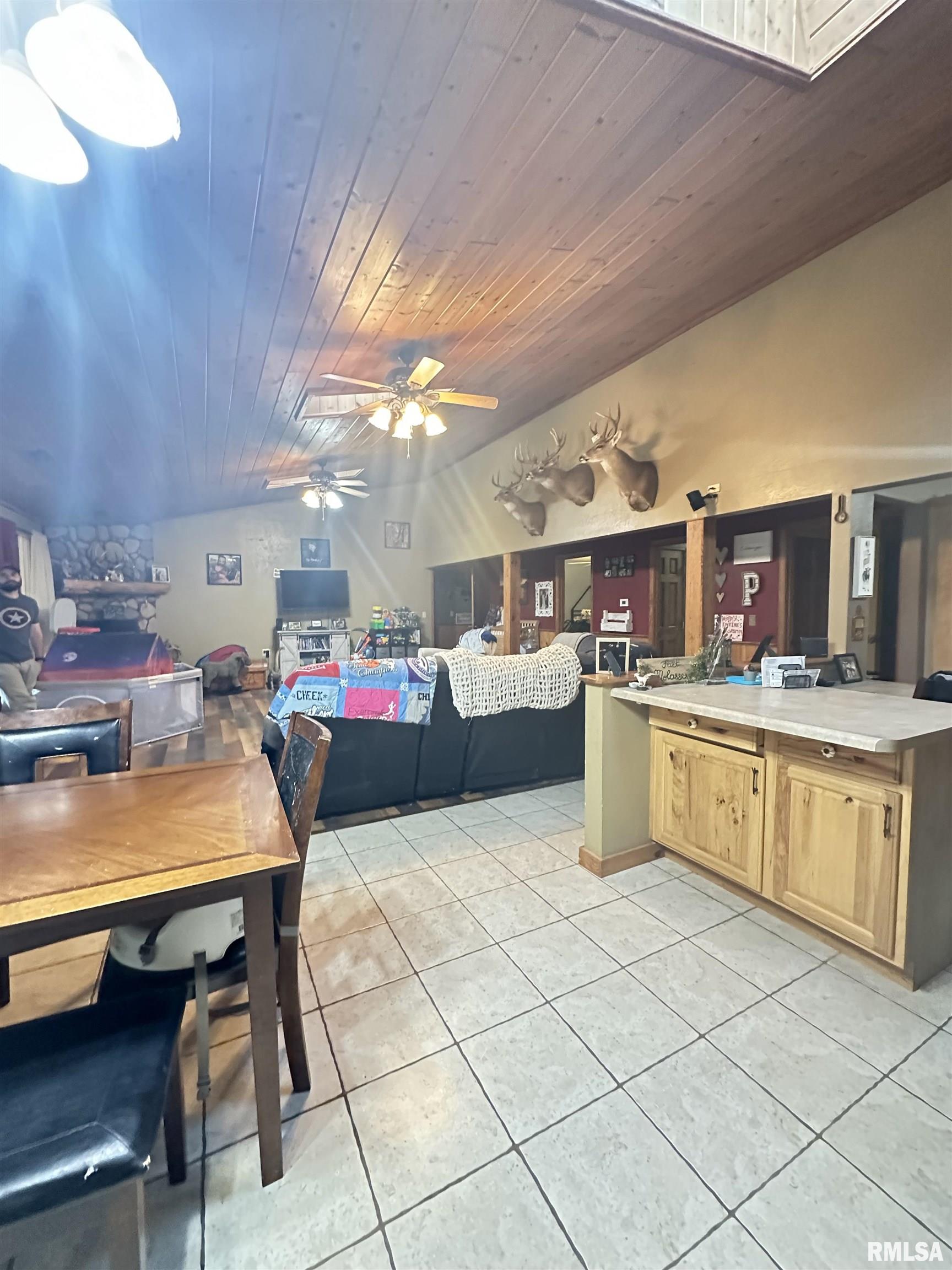 155 Hickam Road Alto Pass, IL 62905 - Photo 9 of 33