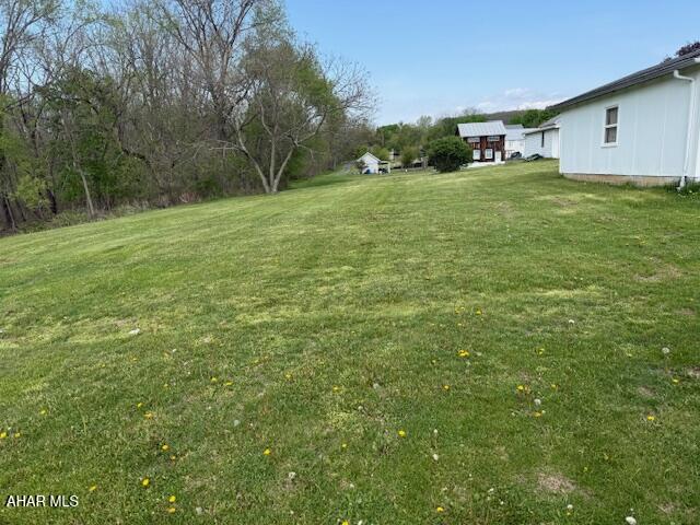 3890 Pitt Street Schellsburg, PA 15559 - Photo 5 of 16
