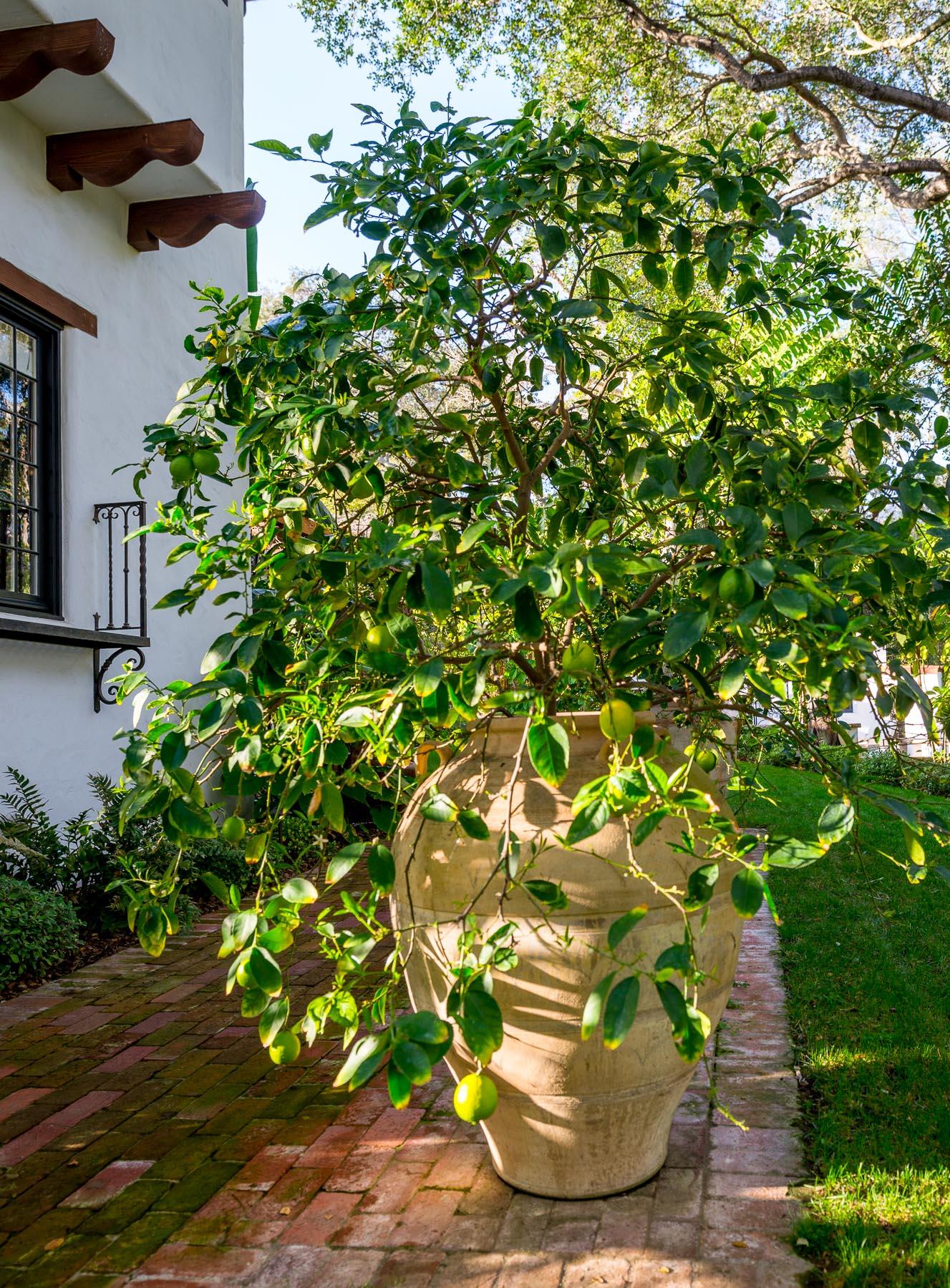 470 Hot Springs Road Montecito, CA 93108 - Photo 13 of 20 Garden