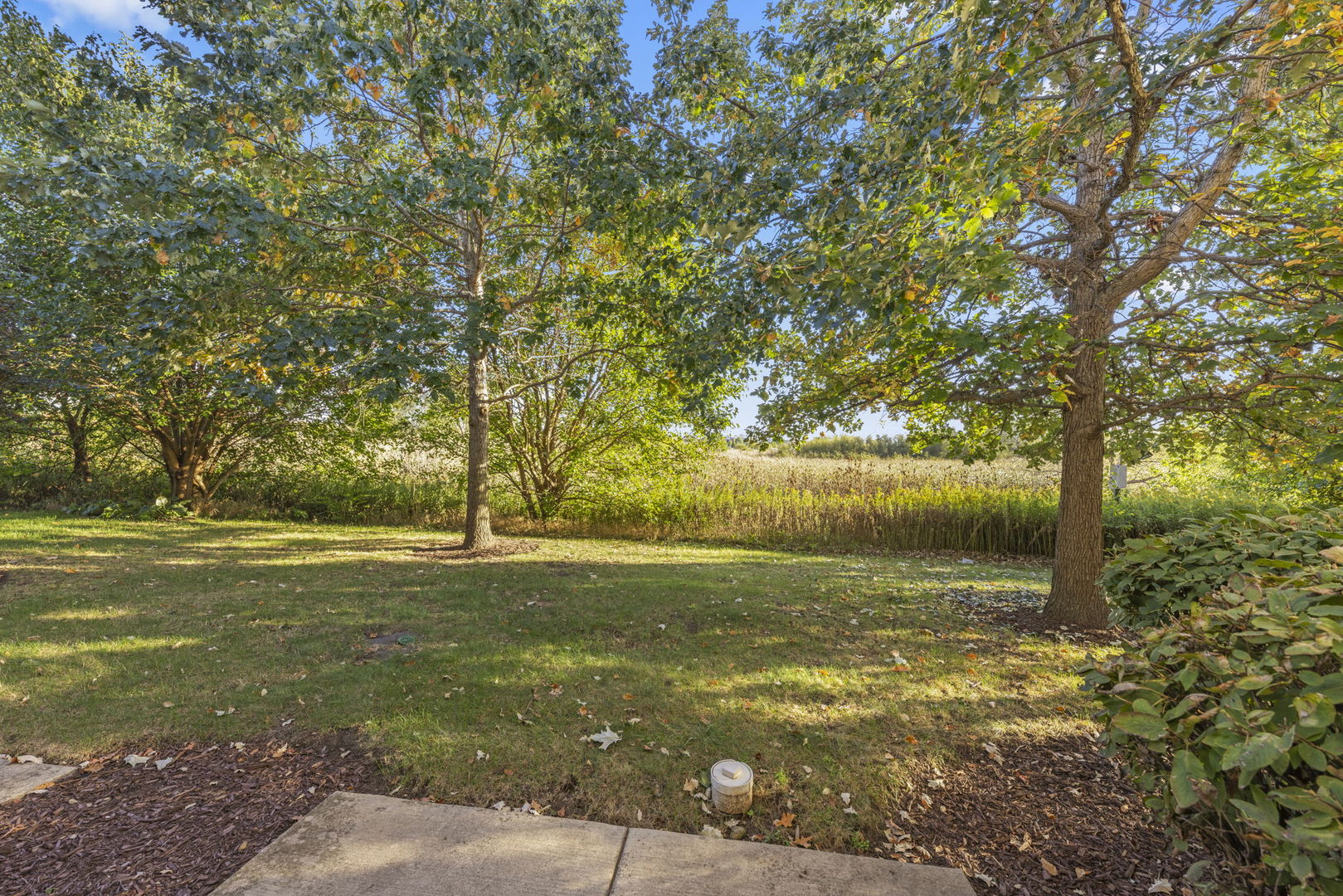 274 South Oak Creek Lane Romeoville, IL 60446 - Photo 18 of 19 a view of a field with an trees