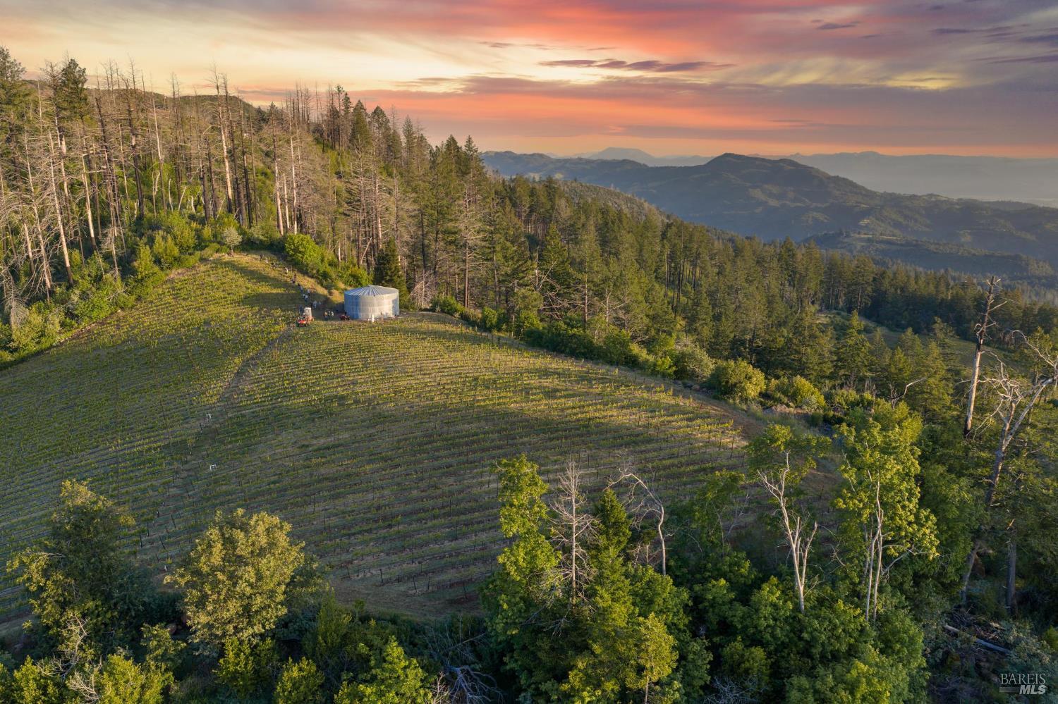 3801 Mt Veeder Road Napa, CA 94558 - Photo 4 of 22
