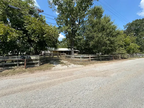 a view of backyard with large trees