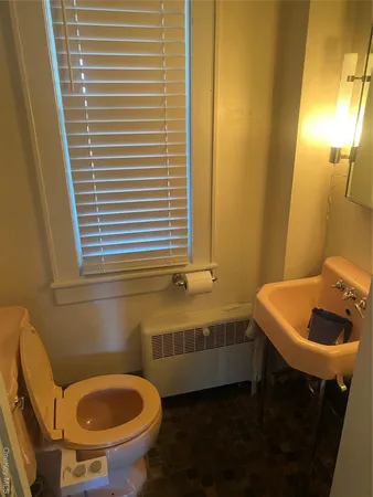 a bathroom with a sink and a toilet
