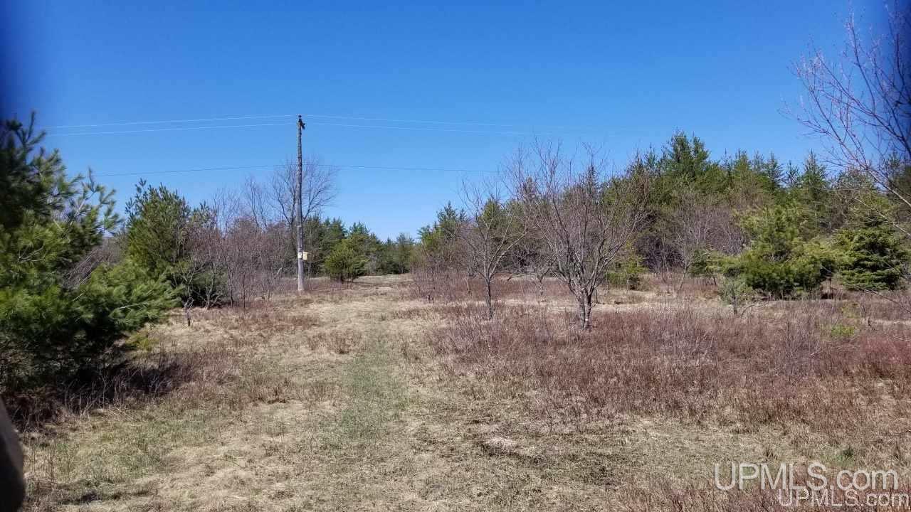 29-acr Pond Road Iron River, MI 49935 - Photo 21 of 29 Gallery Image 21