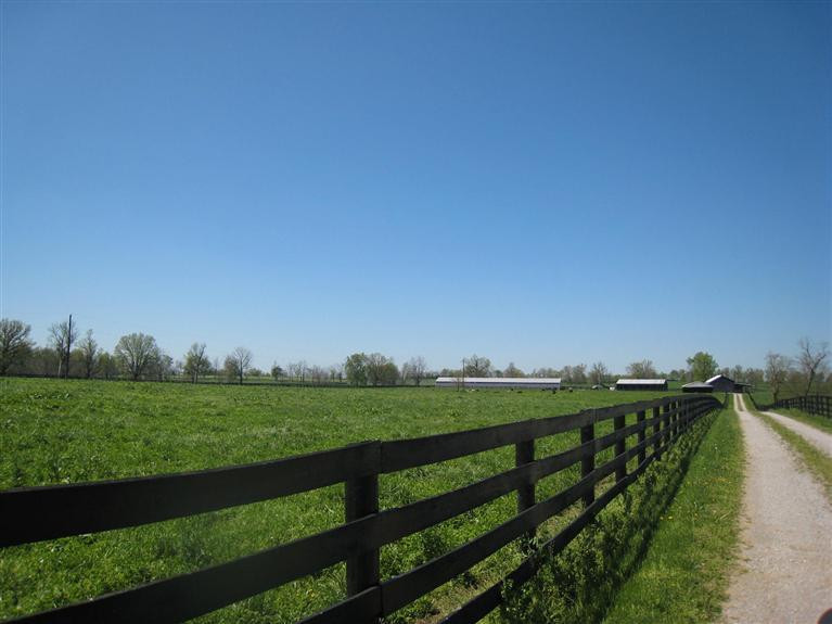 4750 Lexington Road Paris, KY 40361 - Photo 17 of 41 Photo 17