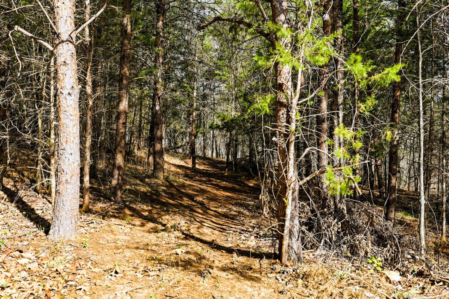 3097 Liberty Chapel Road Appomattox, VA 24522 - Photo 32 of 44