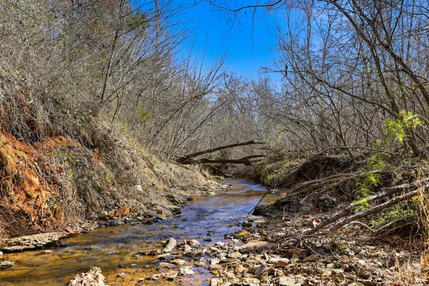3097 Liberty Chapel Road Appomattox, VA 24522 - Photo 38 of 44