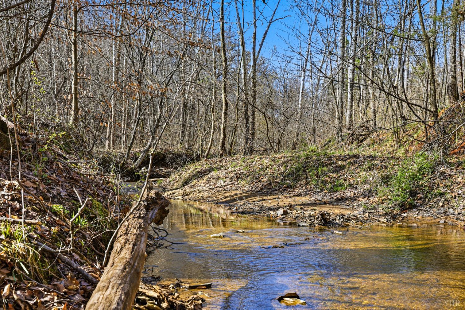 3097 Liberty Chapel Road Appomattox, VA 24522 - Photo 39 of 44