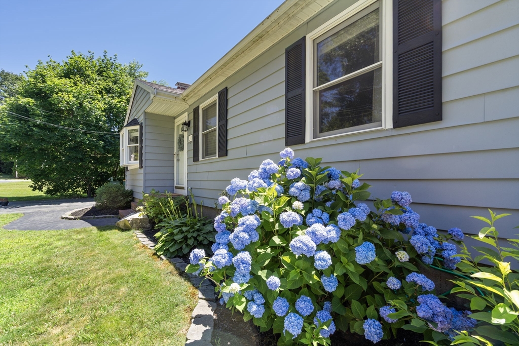 26 Miller Road Easton, MA 02356 - Photo 3 of 29 a flower that is in front of the house
