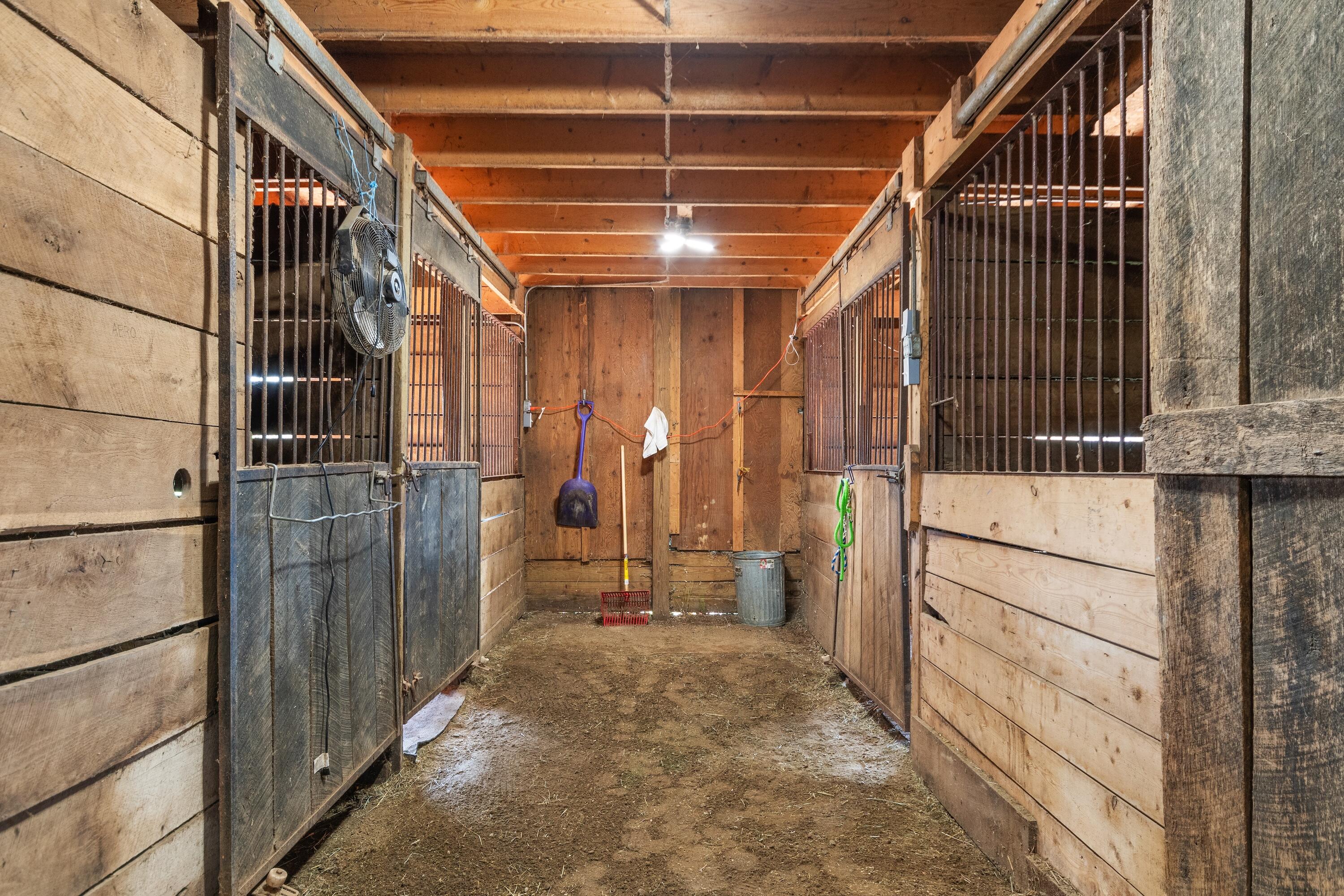 10880 Francis Road Dewitt, MI 48820 - Photo 23 of 60 Francis_34