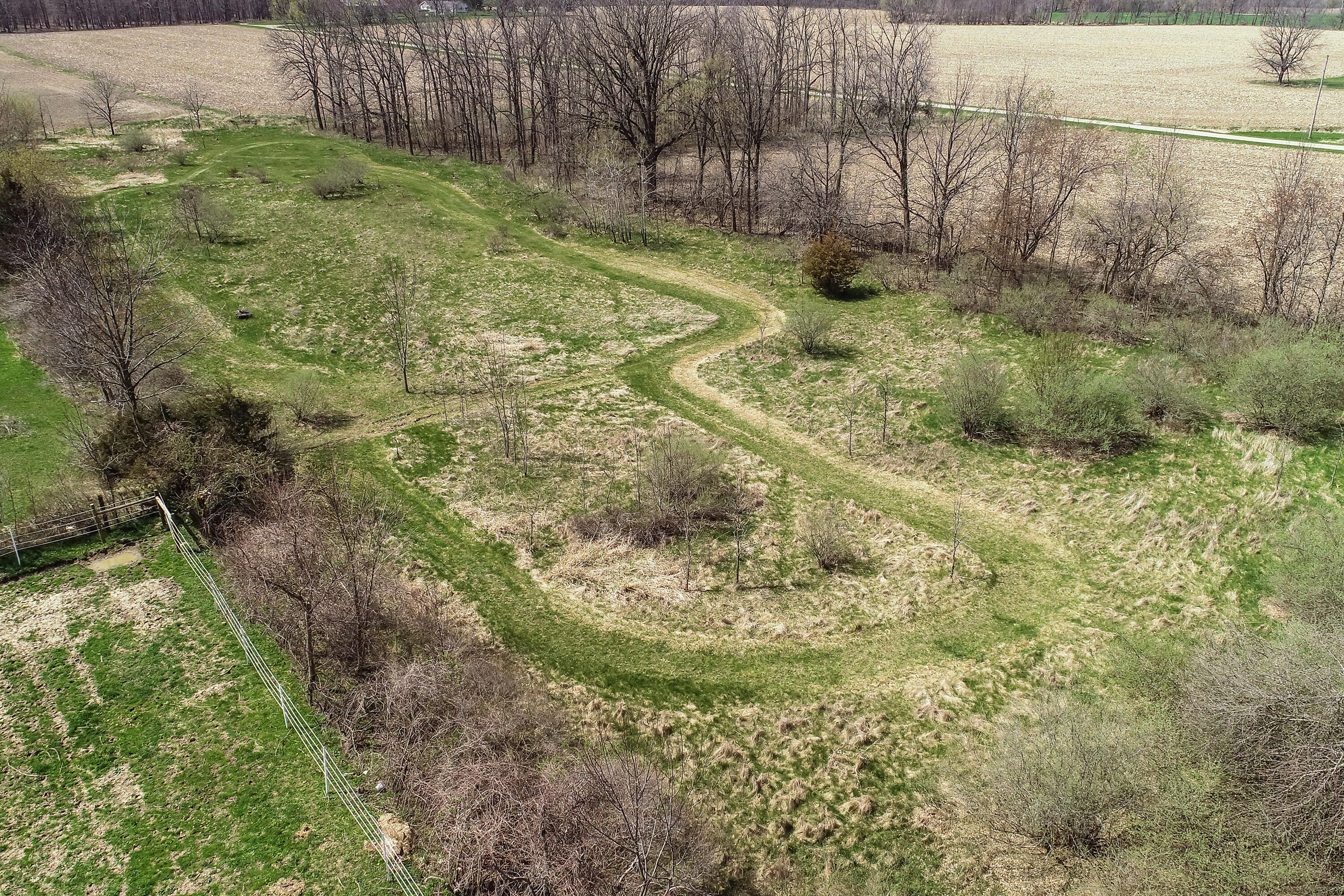 10880 Francis Road Dewitt, MI 48820 - Photo 47 of 60 Francis_Drone_9