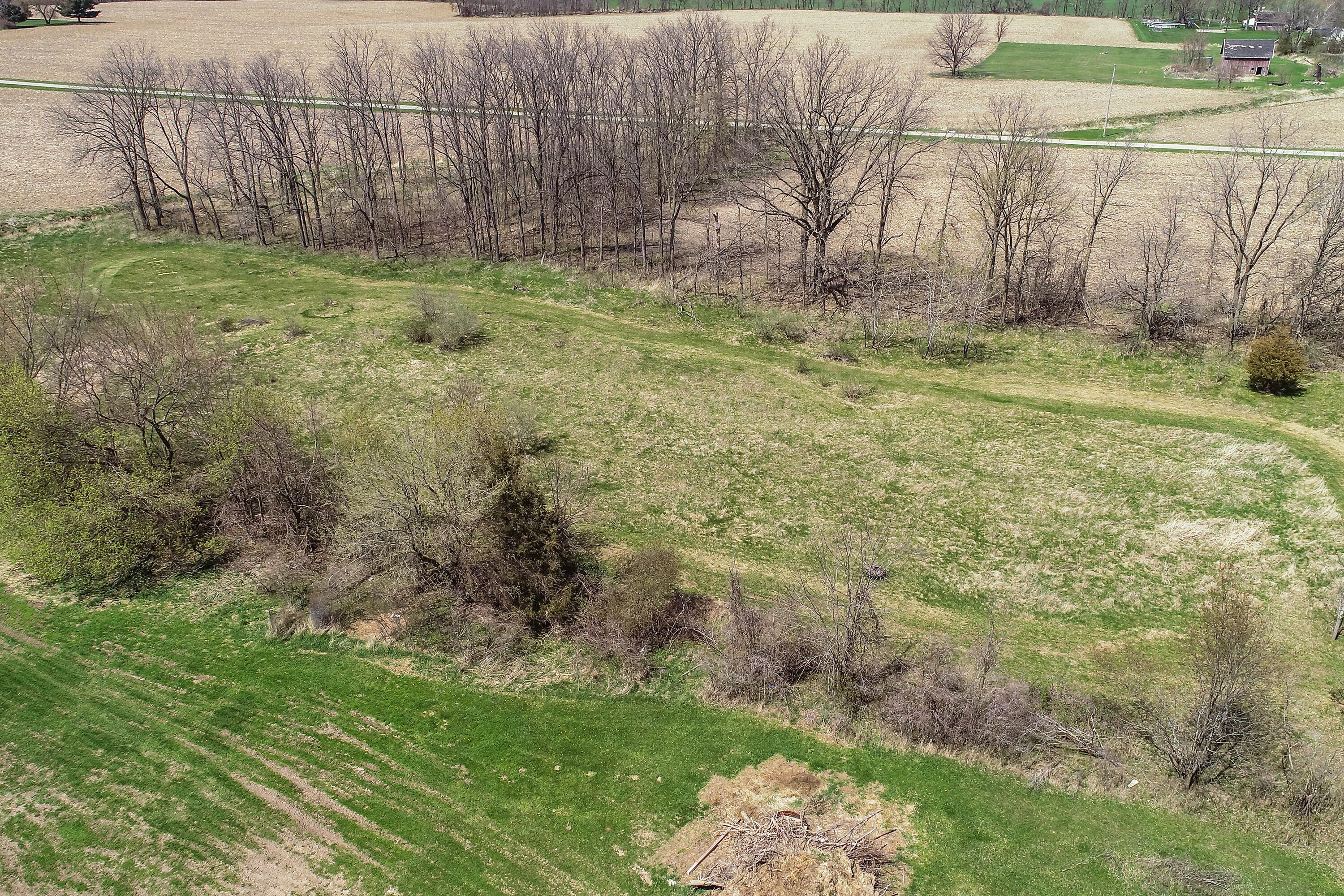 10880 Francis Road Dewitt, MI 48820 - Photo 59 of 60 Francis_Drone_12