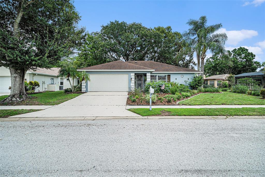 3302 Rankin Drive New Port Richey, FL 34655 - Photo 1 of 1 a front view of a house with a yard and garage