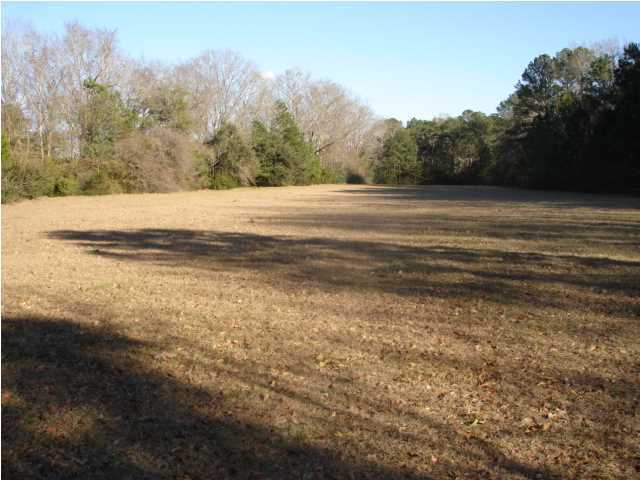 4 Toogoodoo Road Meggett, SC 29449 - Photo 2 of 22 Additional Photo