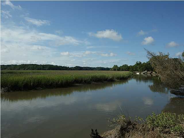 4 Toogoodoo Road Meggett, SC 29449 - Photo 17 of 22 Additional Photo