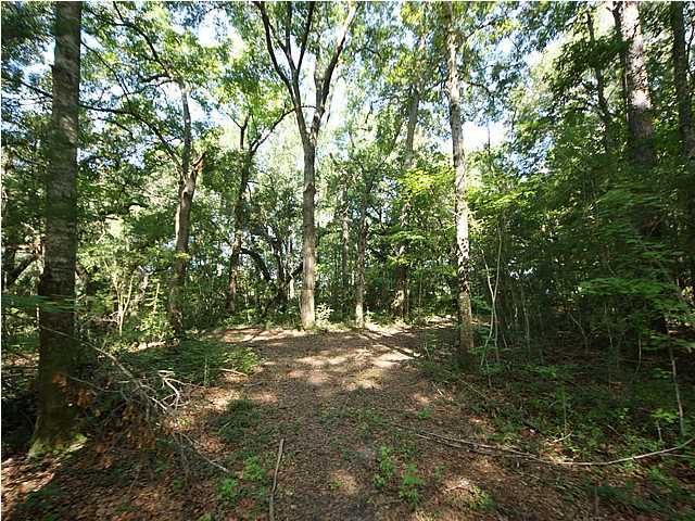 4 Toogoodoo Road Meggett, SC 29449 - Photo 20 of 22 Additional Photo
