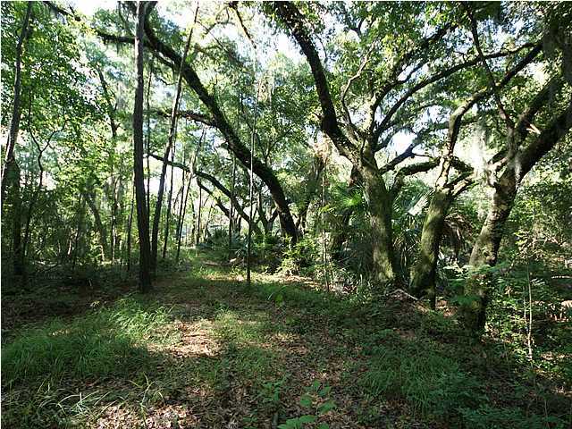 4 Toogoodoo Road Meggett, SC 29449 - Photo 21 of 22 Additional Photo