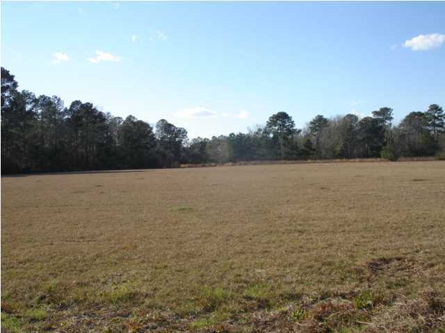 4 Toogoodoo Road Meggett, SC 29449 - Photo 5 of 22 Additional Photo