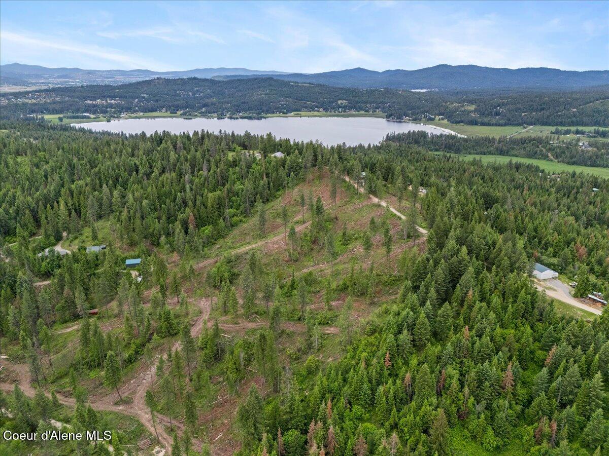 14751 North Smith Avenue Rathdrum, ID 83858 - Photo 44 of 44 60-Aerial Back of Home