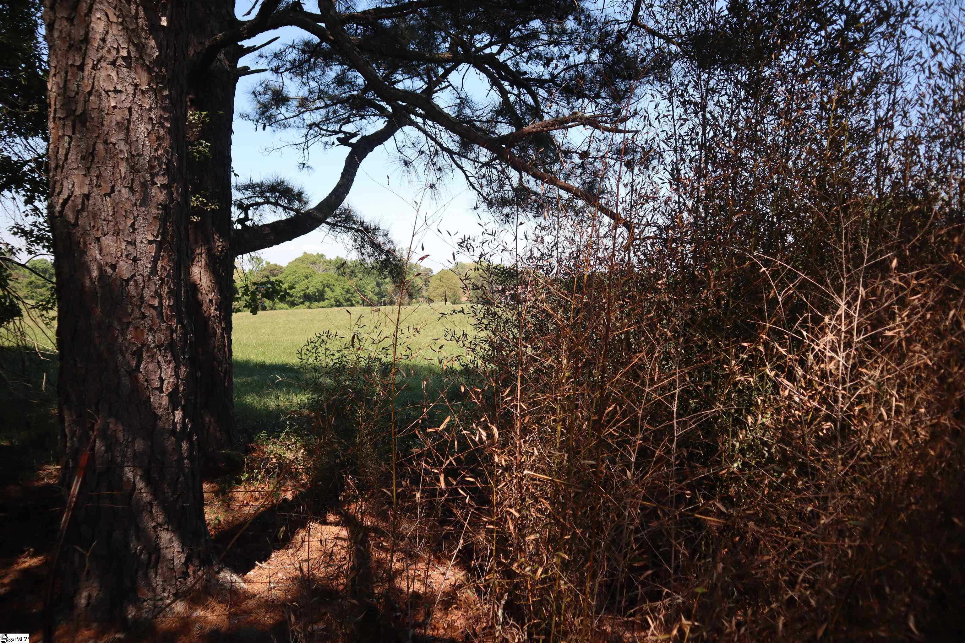 0 Stone Station Road Spartanburg, SC 29306 - Photo 7 of 11