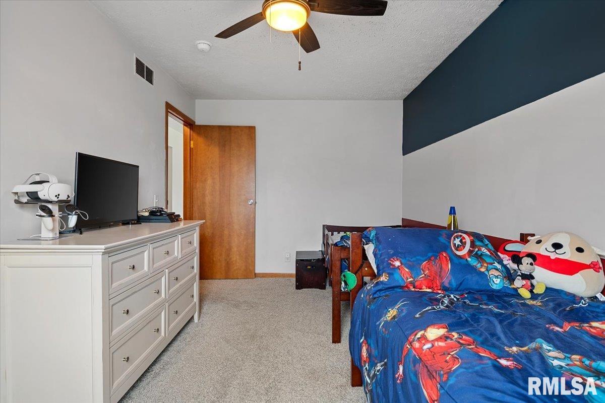 301 Buttercup Drive Athens, IL 62613 - Photo 24 of 31