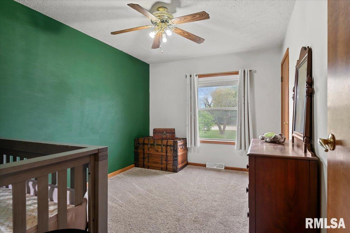 301 Buttercup Drive Athens, IL 62613 - Photo 25 of 31