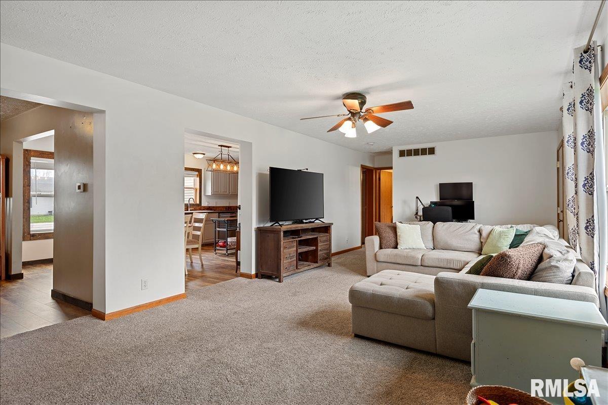 301 Buttercup Drive Athens, IL 62613 - Photo 4 of 31