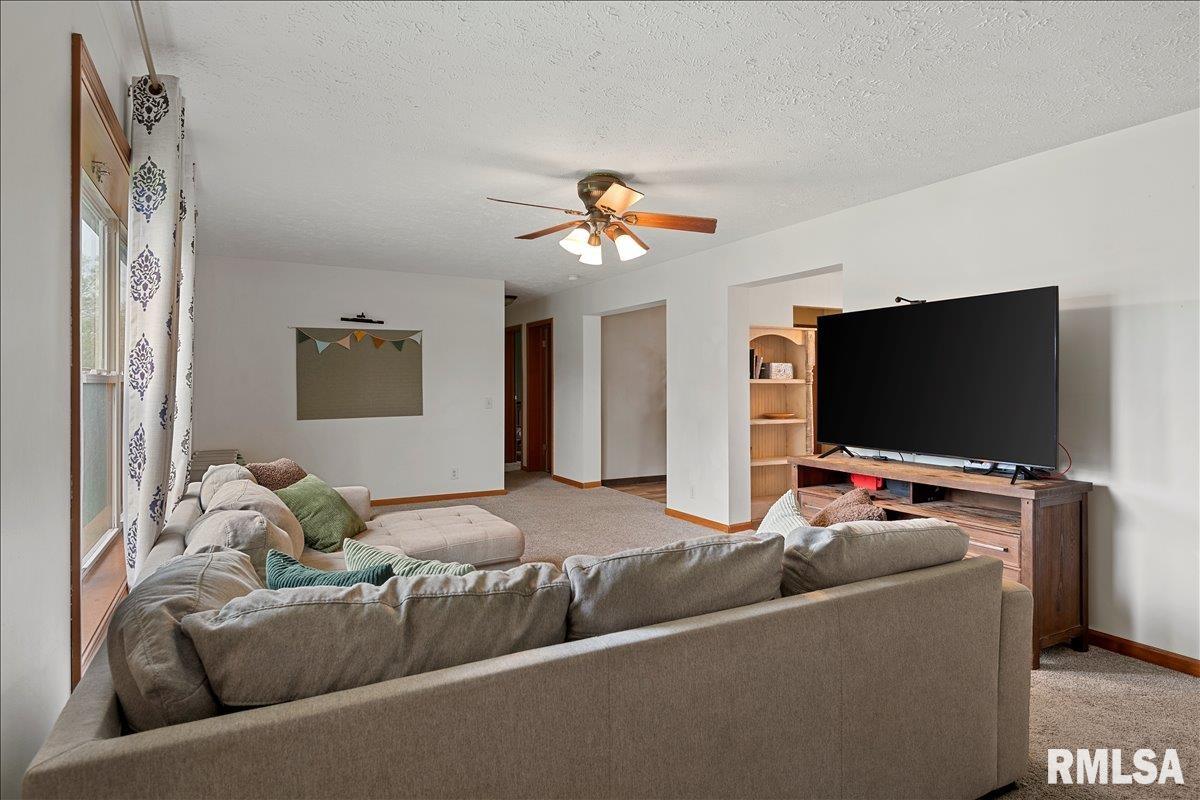 301 Buttercup Drive Athens, IL 62613 - Photo 5 of 31