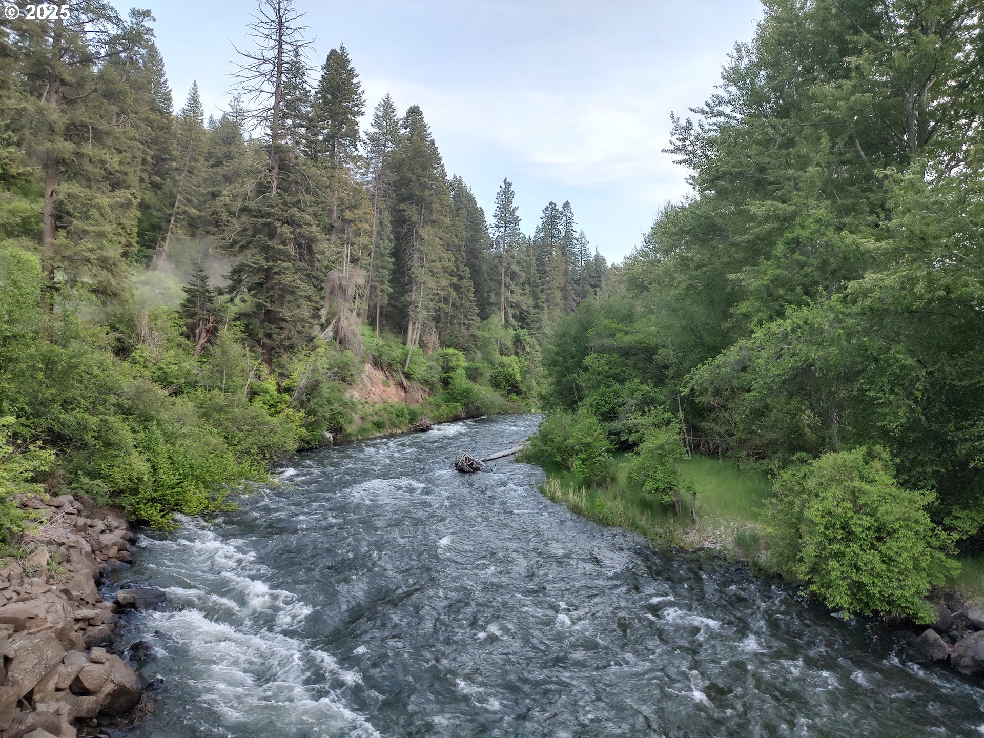 59831 River Canyon Road Imnaha, OR 97842 - Photo 4 of 9 a view of a yard with a tree