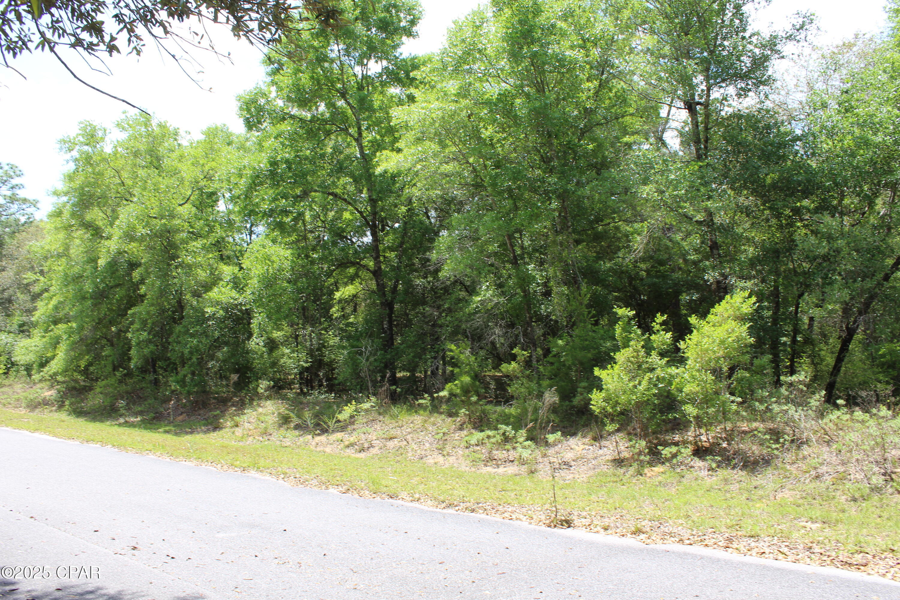 Lot 5 Arnone Lane Chipley, FL 32428 - Photo 3 of 11