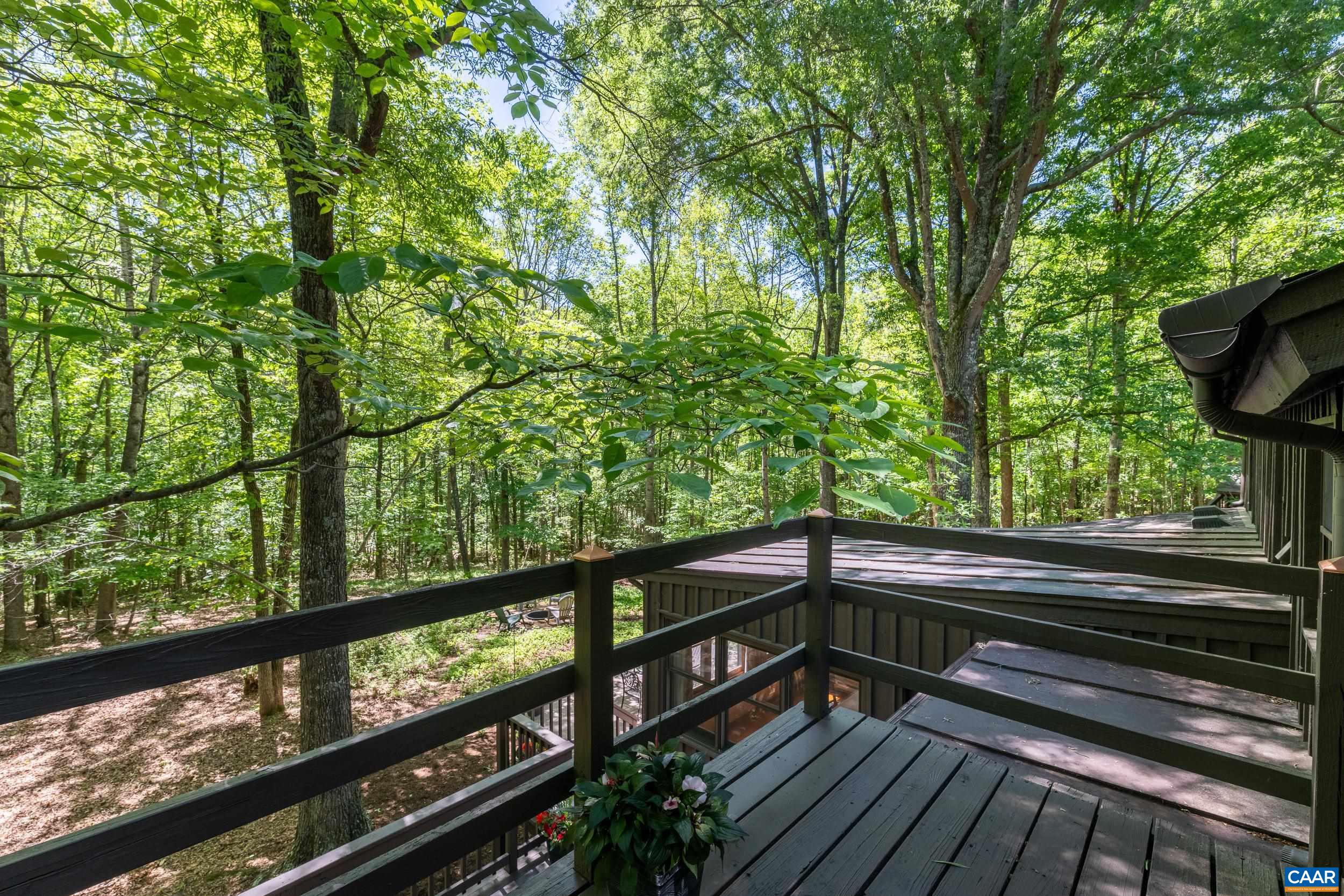 3939 Buck Island Road Charlottesville, VA 22902 - Photo 55 of 74