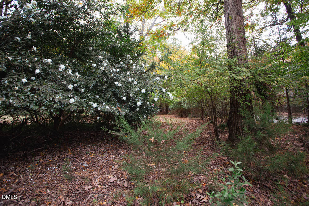 1921 Brassfield Road Raleigh, NC 27614 - Photo 19 of 28 332A9387