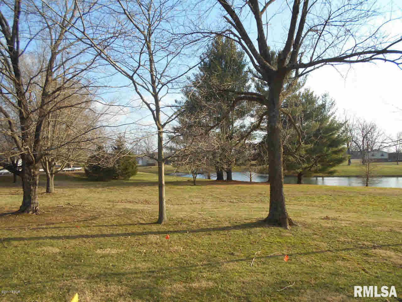100 Fox Creek Road Flora, IL 62839 - Photo 19 of 48