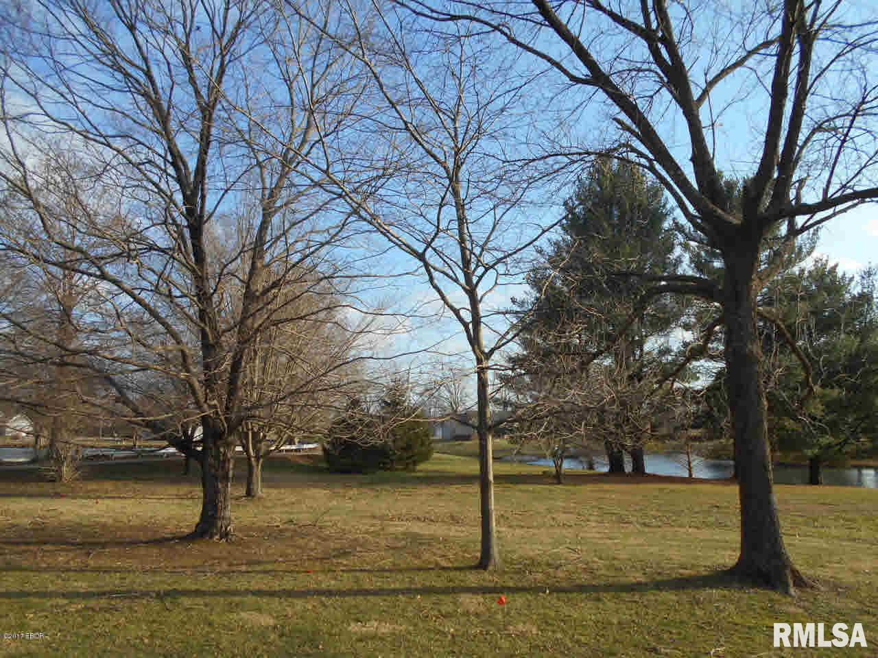 100 Fox Creek Road Flora, IL 62839 - Photo 20 of 48