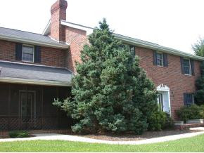 2098 Rock Springs Road Kingsport, TN 37664 - Photo 6 of 9 Photo 6
