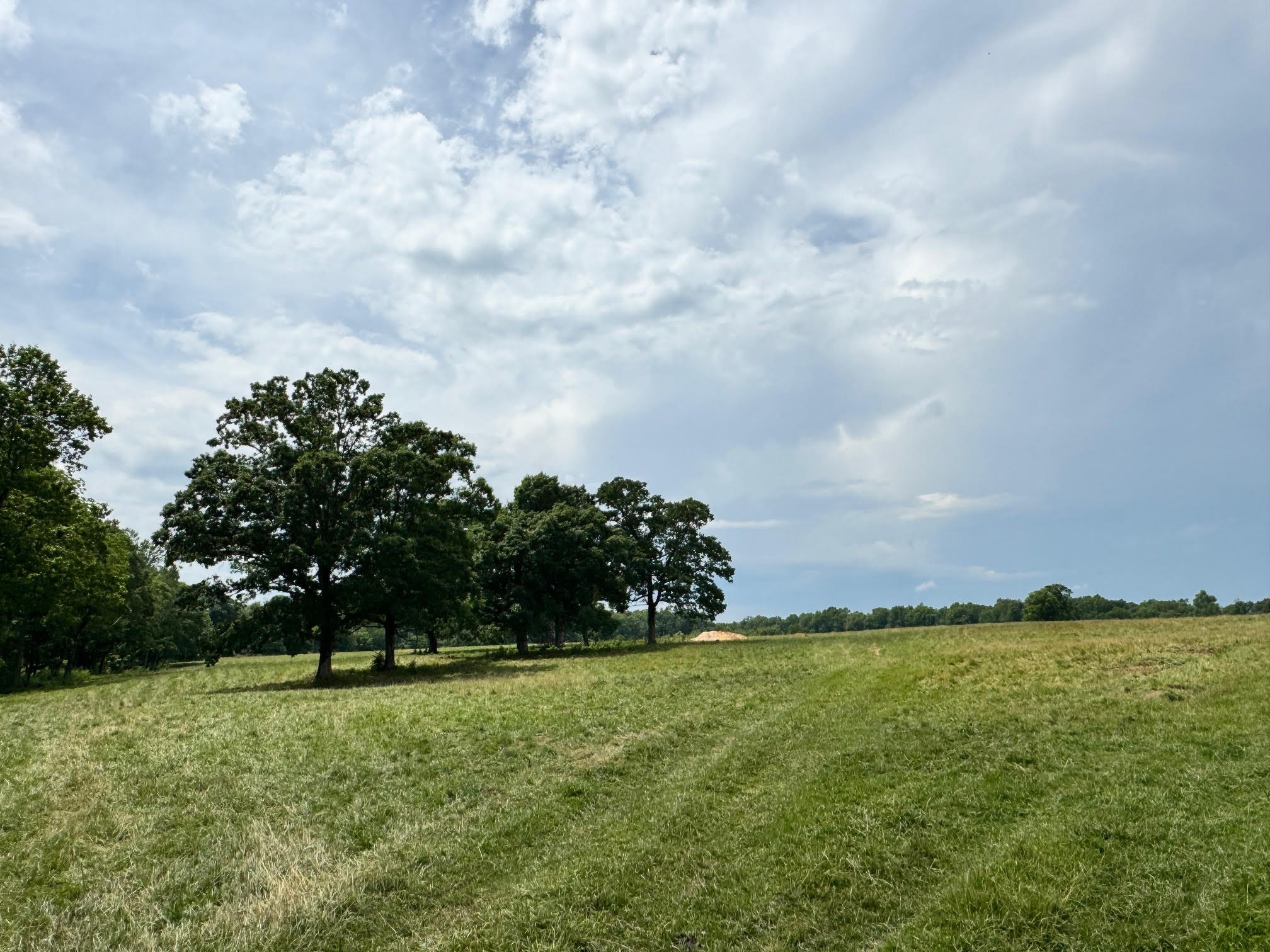0 Old Bean Shed Road Clarkrange, TN 38553 - Photo 10 of 14 Gallery Image 10