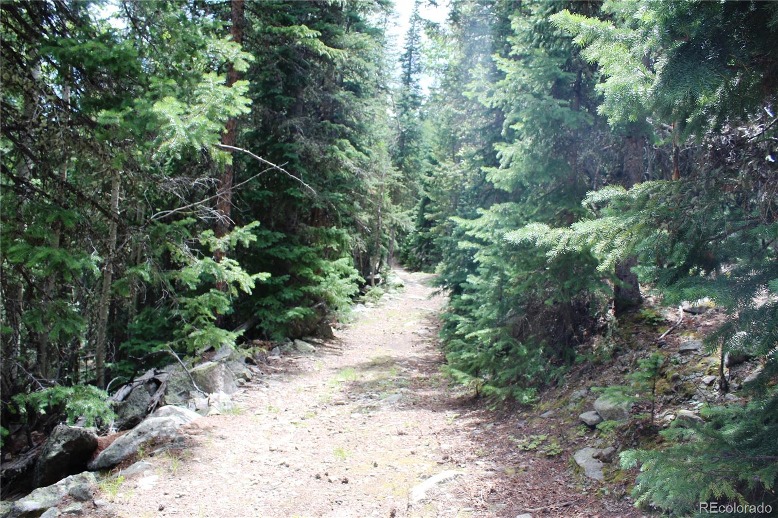 0 Hidden Wilderness Road Evergreen, CO 80439 - Photo 13 of 16 a view of a pathway with a tree