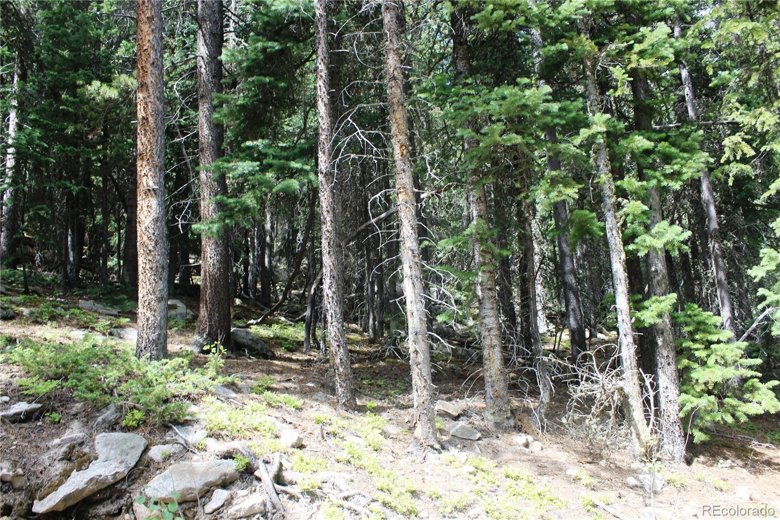 0 Hidden Wilderness Road Evergreen, CO 80439 - Photo 14 of 16 a view of outdoor space and tree s