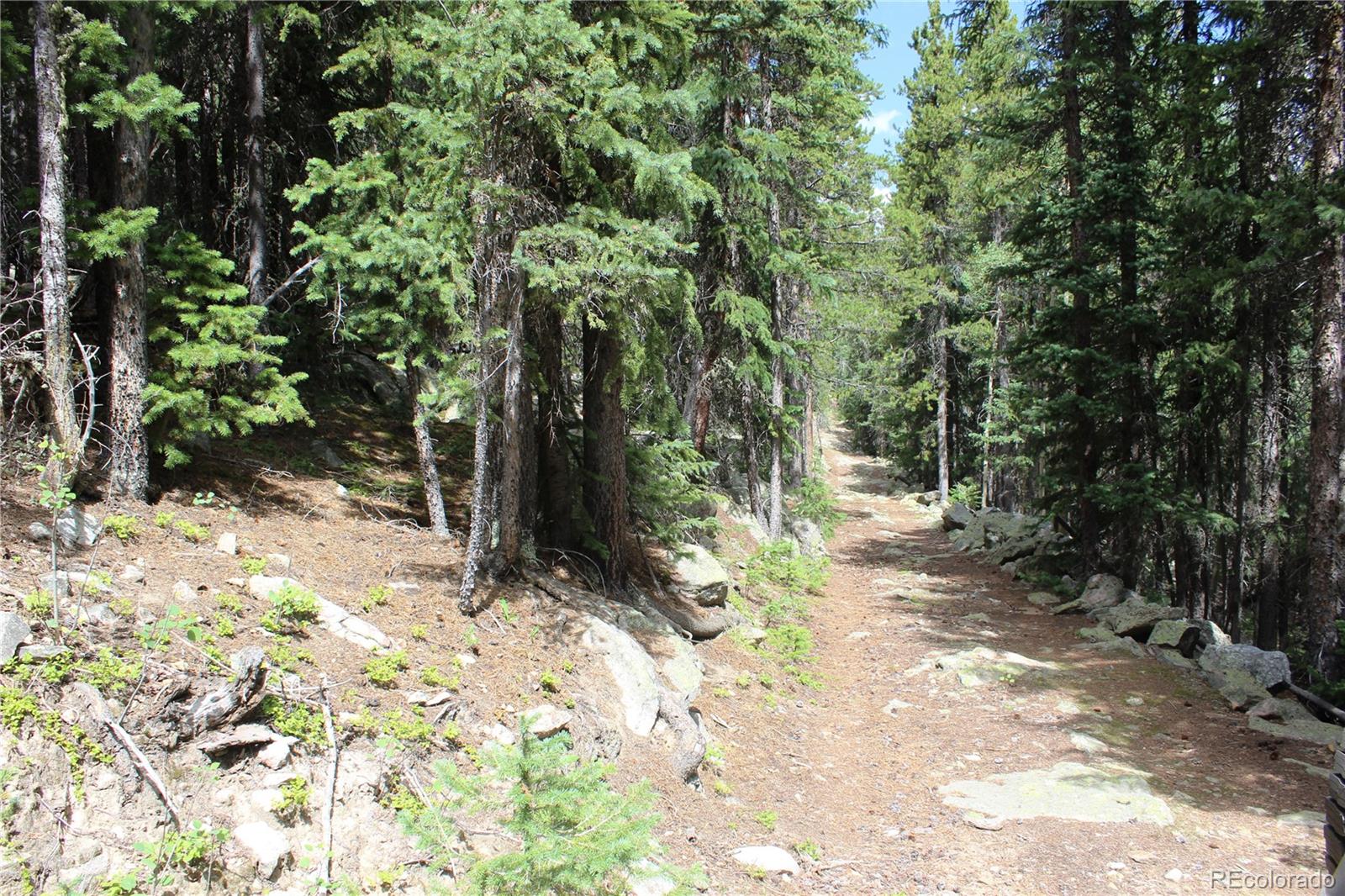 0 Hidden Wilderness Road Evergreen, CO 80439 - Photo 15 of 16 a pathway of a yard