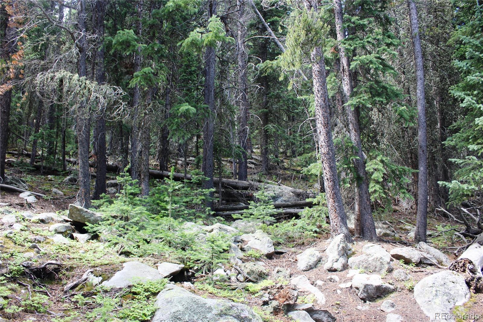 0 Hidden Wilderness Road Evergreen, CO 80439 - Photo 4 of 16 a view of a garden with trees
