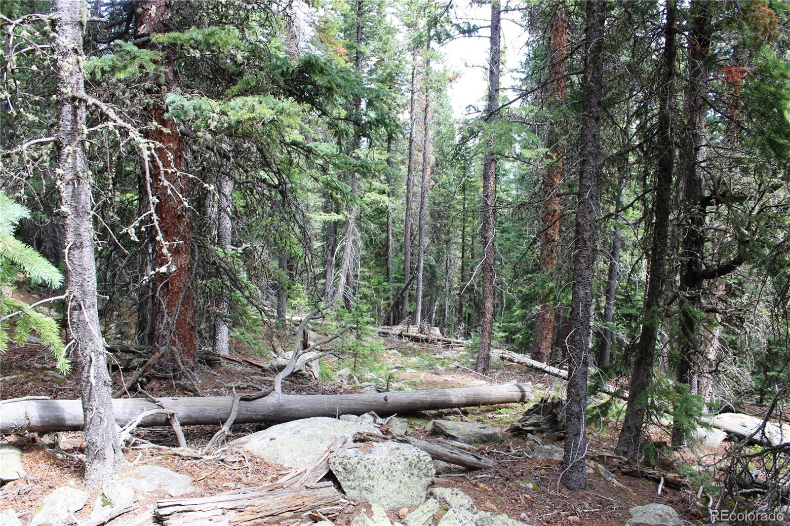 0 Hidden Wilderness Road Evergreen, CO 80439 - Photo 6 of 16 a view of a backyard with furniture