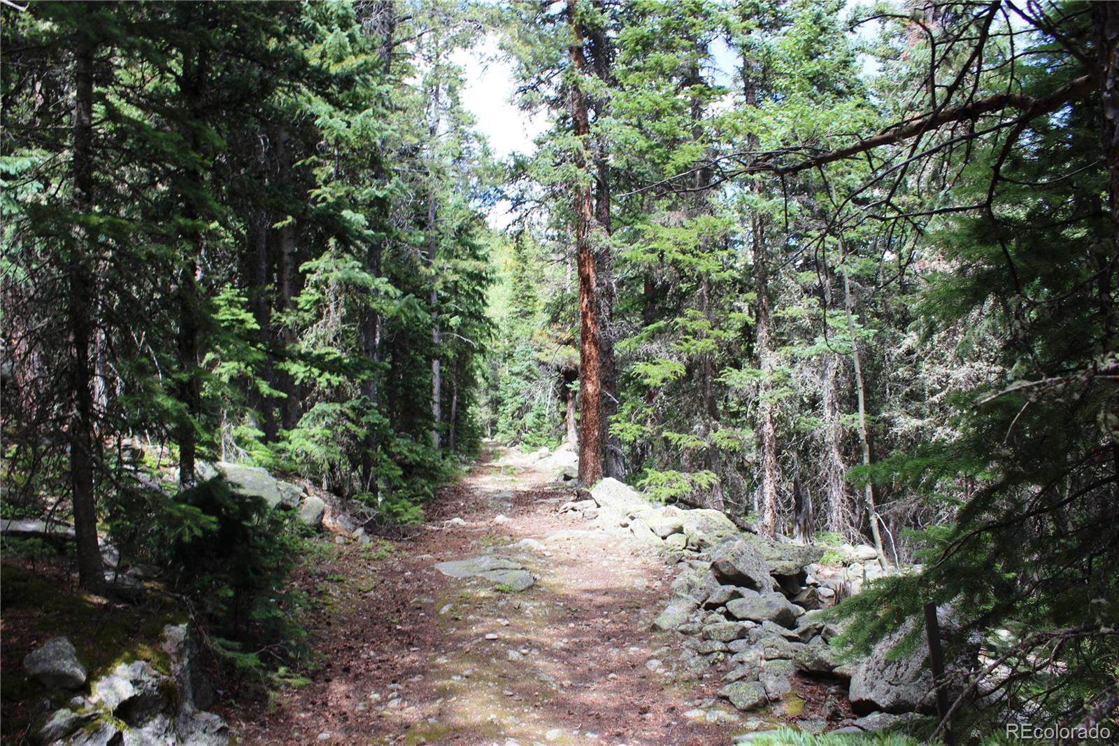 0 Hidden Wilderness Road Evergreen, CO 80439 - Photo 8 of 16 a view of forest