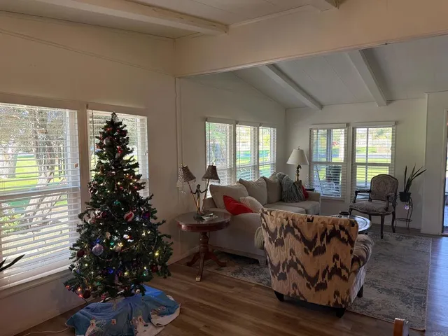 a living room with furniture potted plant and a window