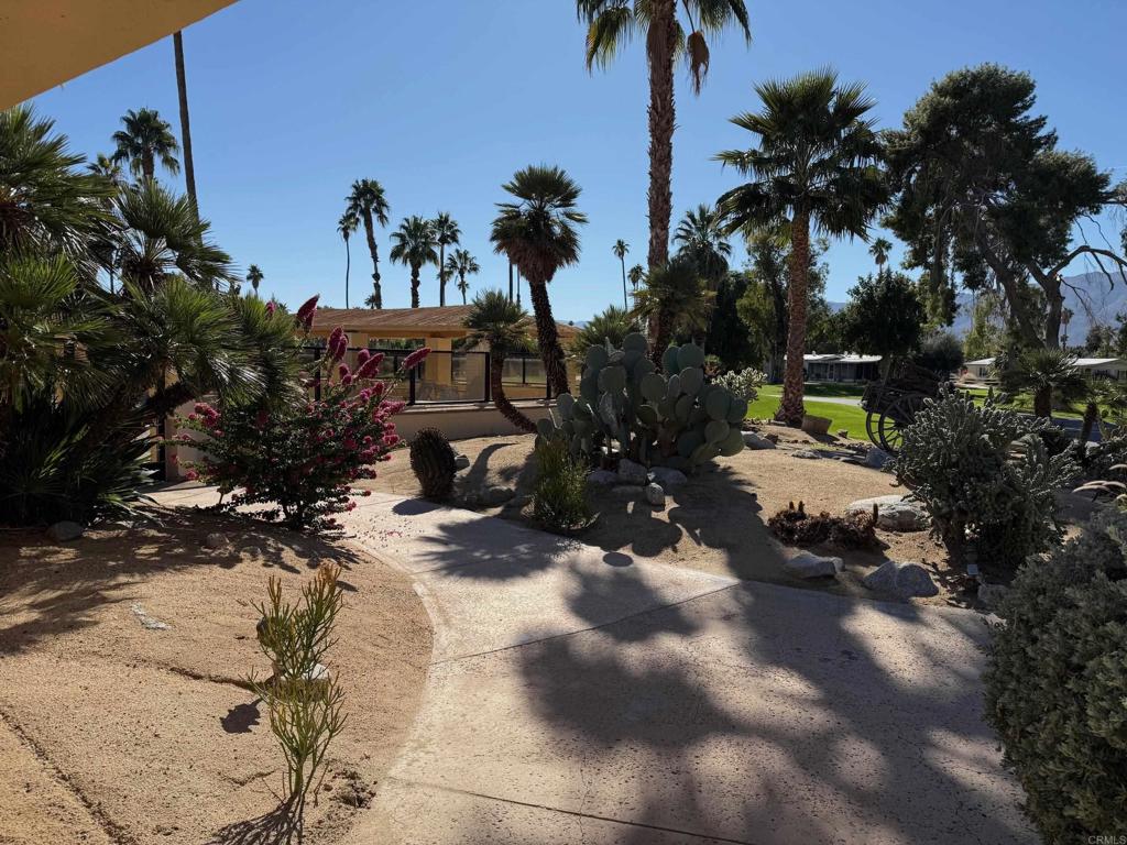 1010 Palm Canyon Drive, Unit 264 Borrego Springs, CA 92004 - Photo 31 of 50 a view of a yard