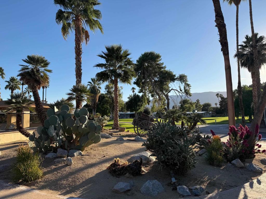 1010 Palm Canyon Drive, Unit 264 Borrego Springs, CA 92004 - Photo 45 of 50 a view of a street with palm trees