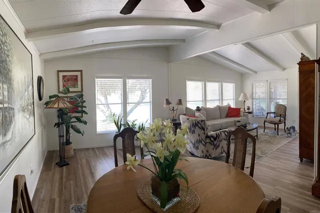 a living room with furniture potted plant wooden floor and windows