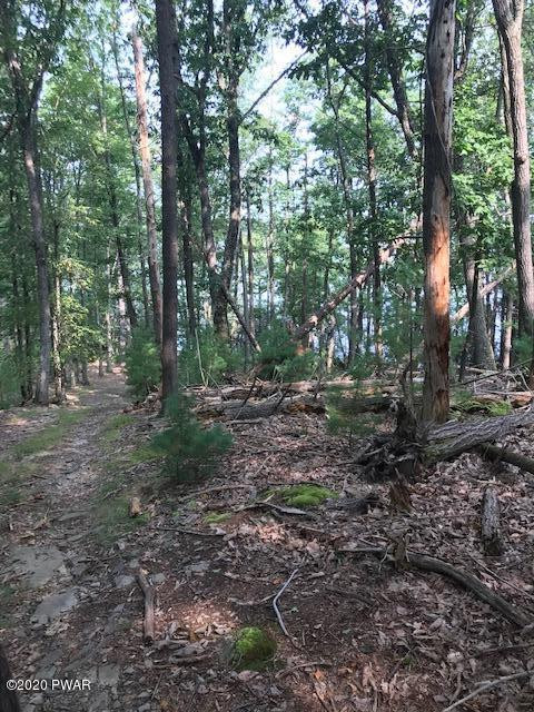 Coutts Point Drive Paupack, PA 18451 - Photo 4 of 22