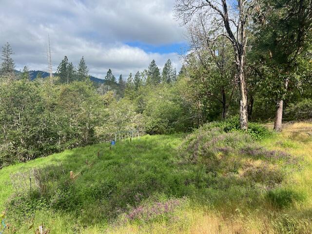 4196 East Evans Creek Road Rogue River, OR 97537 - Photo 25 of 36 a view of a green field with lots of bushes